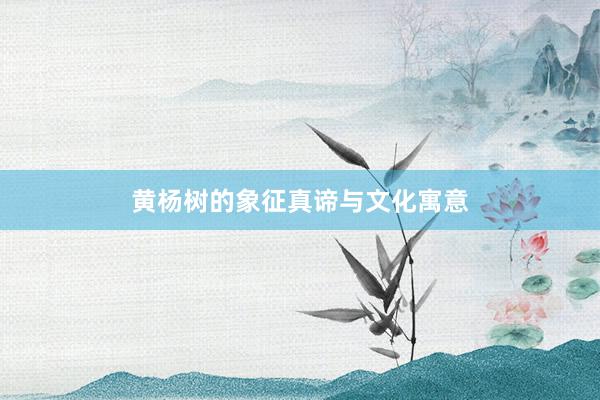 黄杨树的象征真谛与文化寓意