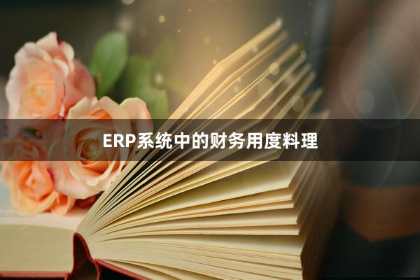 ERP系统中的财务用度料理